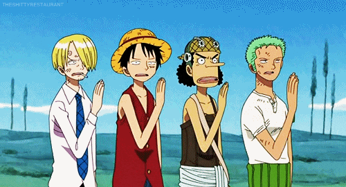 One Piece crew teamwork